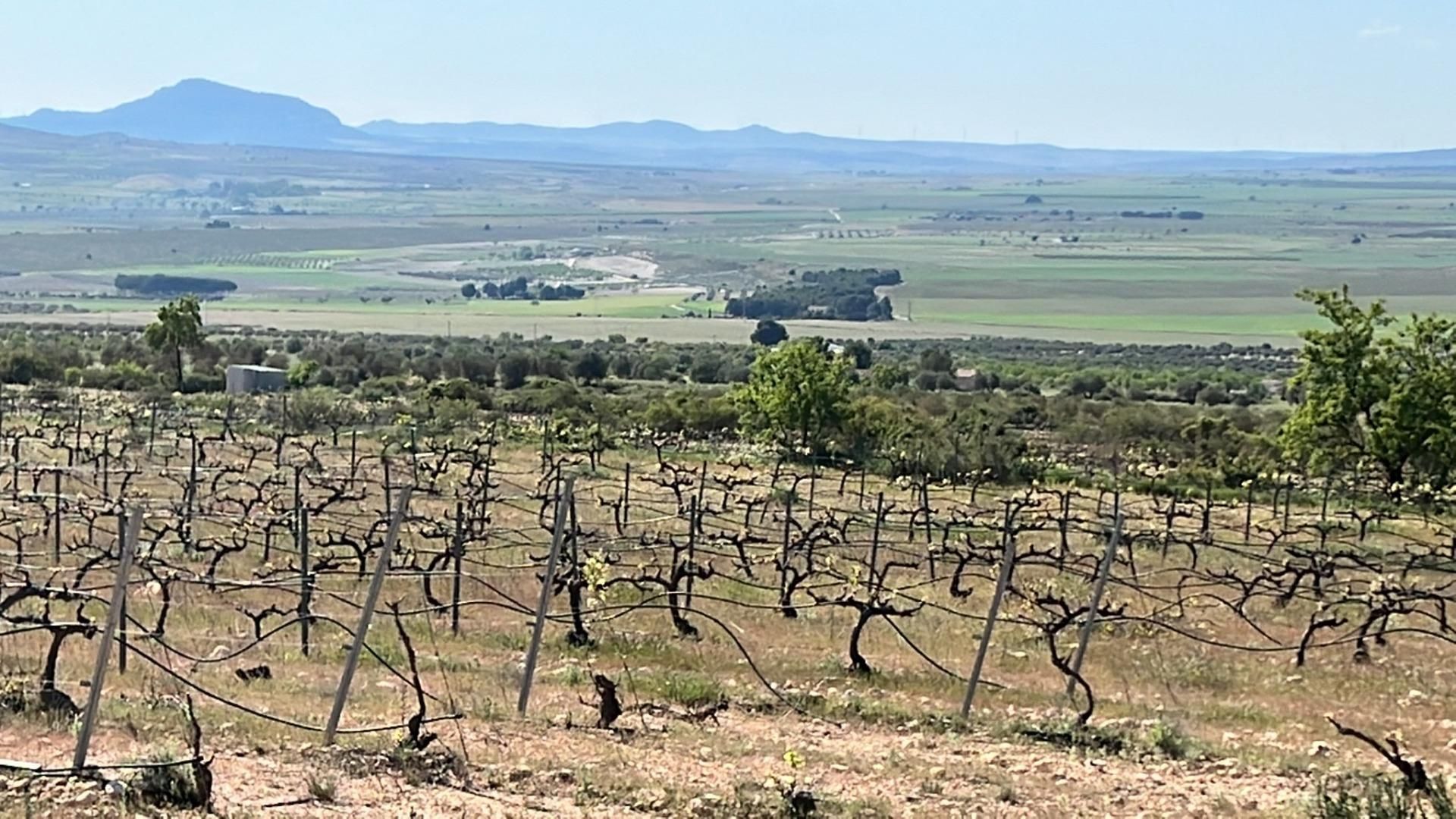 Villa - Yecla, Murcia