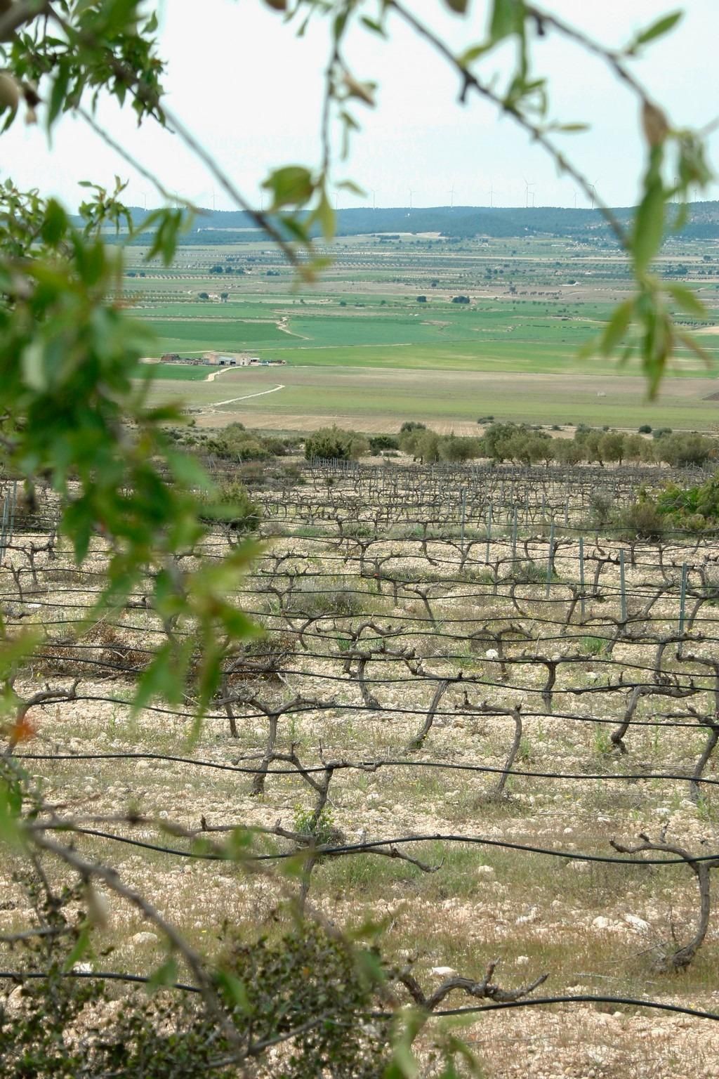 Villa - Yecla, Murcia