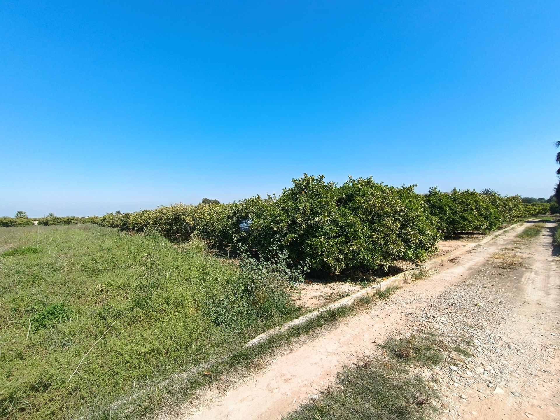 Finca rústica en Burriana, venta