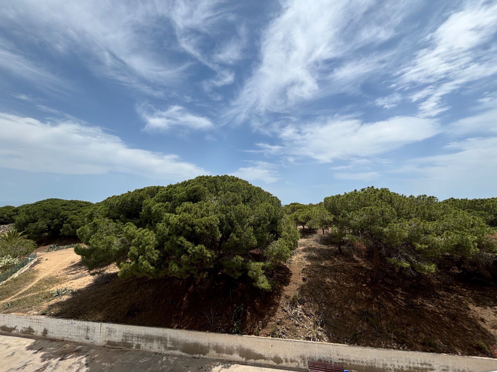 Lägenhet i Torrevieja, uthyres