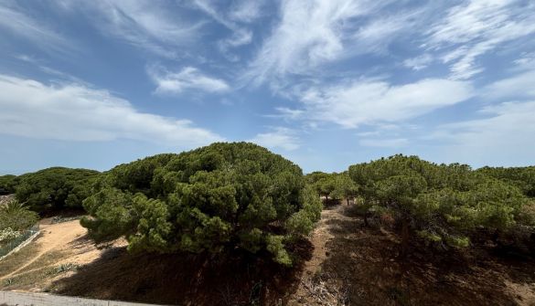 Lägenhet i Torrevieja, uthyres