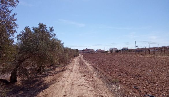 Parcela en Pilar de la Horadada, venta