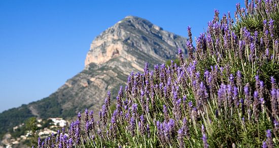 Rutas por el Montgo desde Dénia: senderos para todos los niveles.