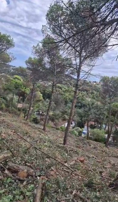 Plot in Vidreres, for sale