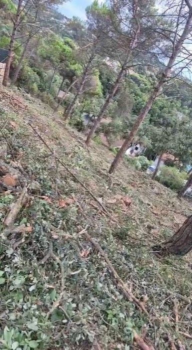 Plot in Vidreres, for sale