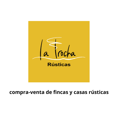 el-texto-del-parrafo.png