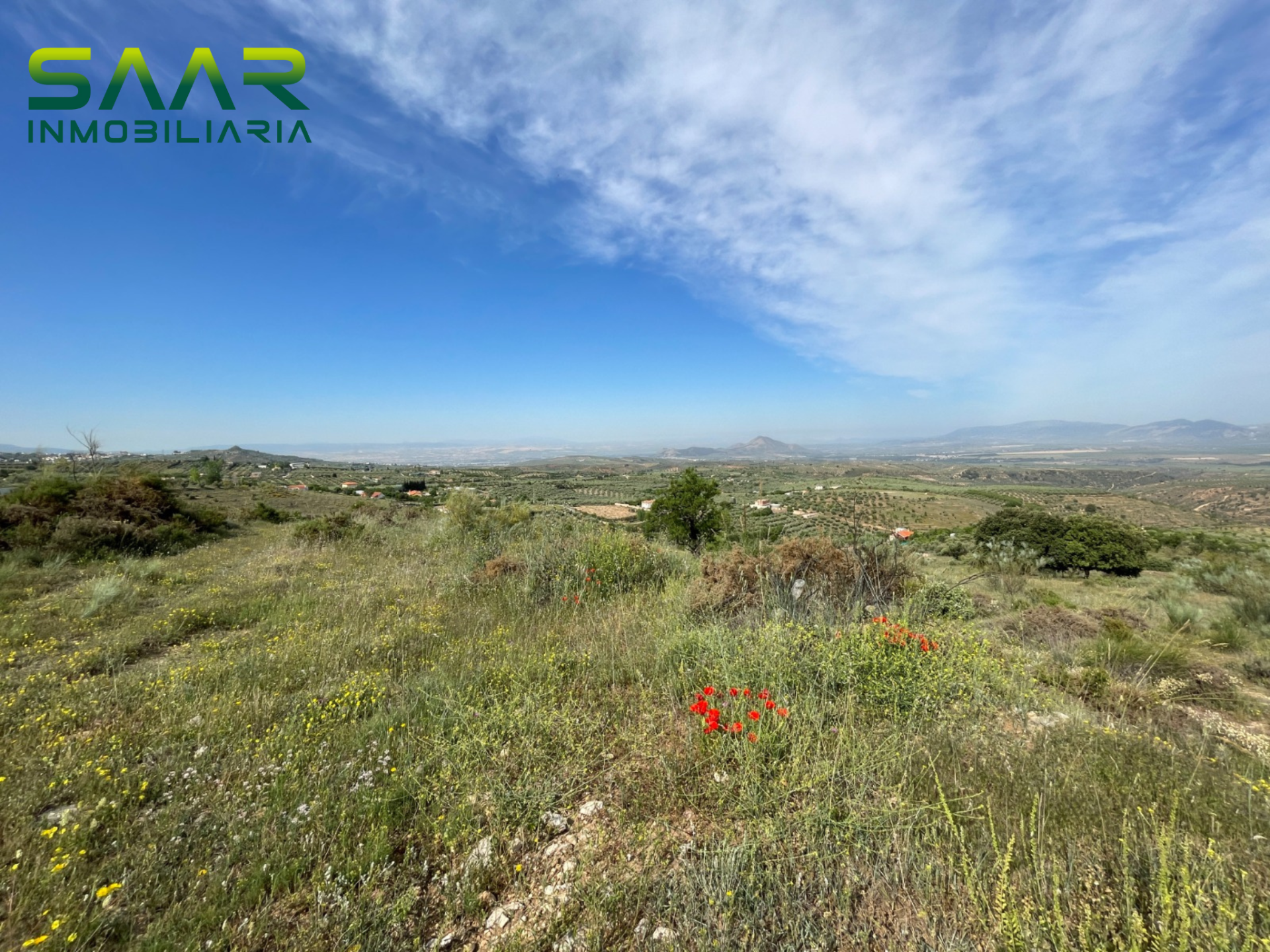 Parcela en Cogollos de la Vega, venta