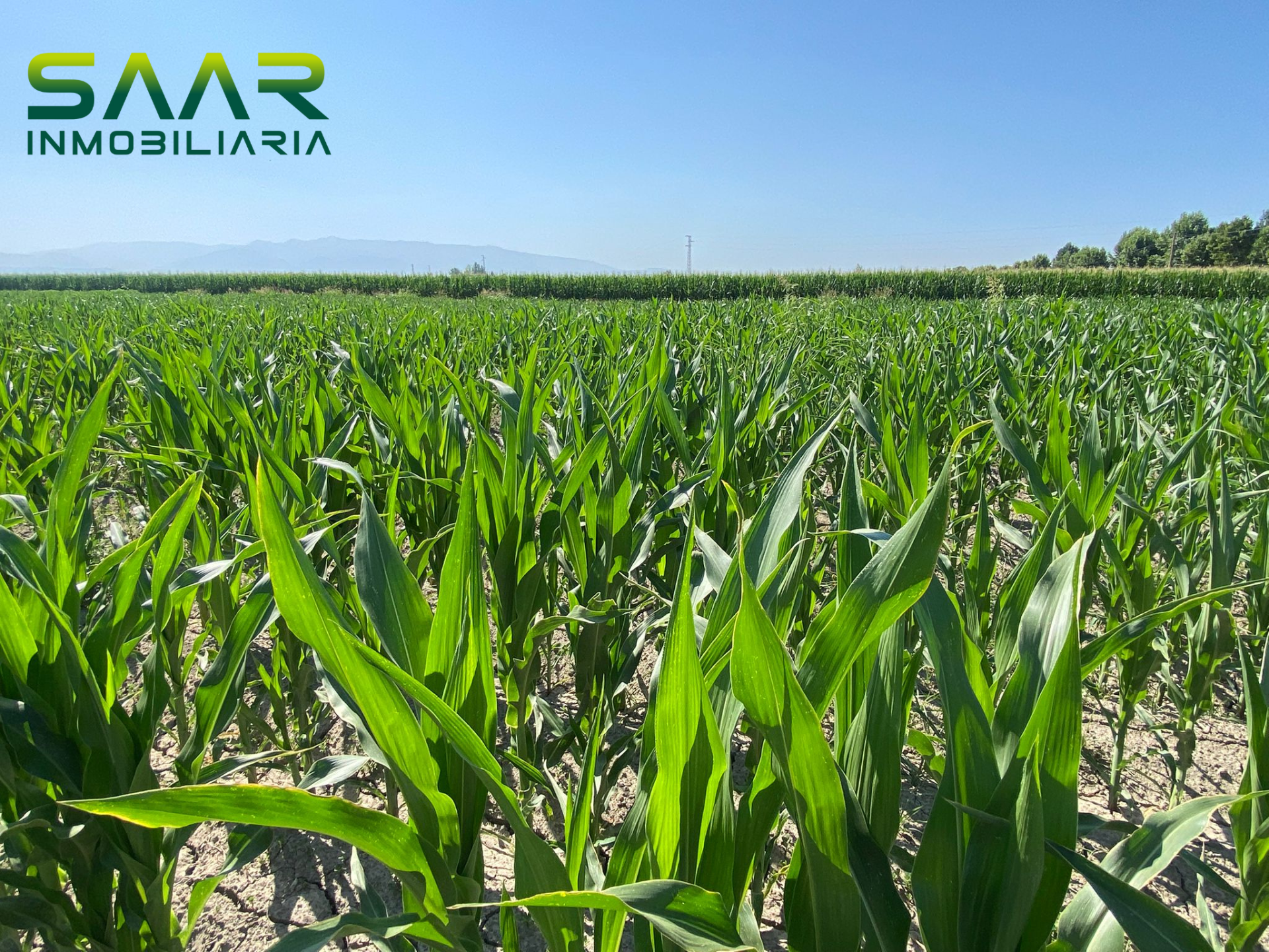 Parcela en Fuente Vaqueros, venta