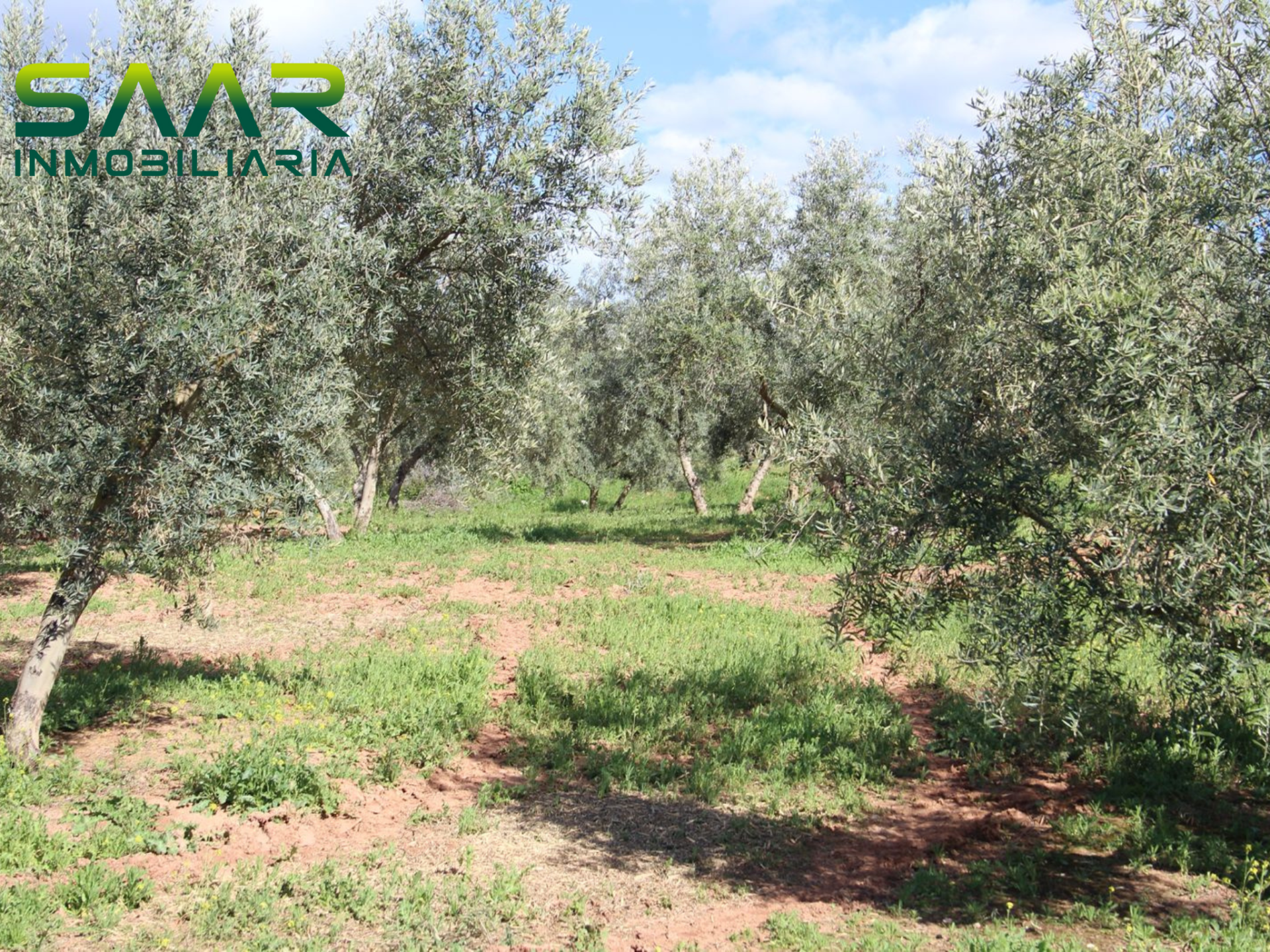 Finca rústica en Calicasas, venta