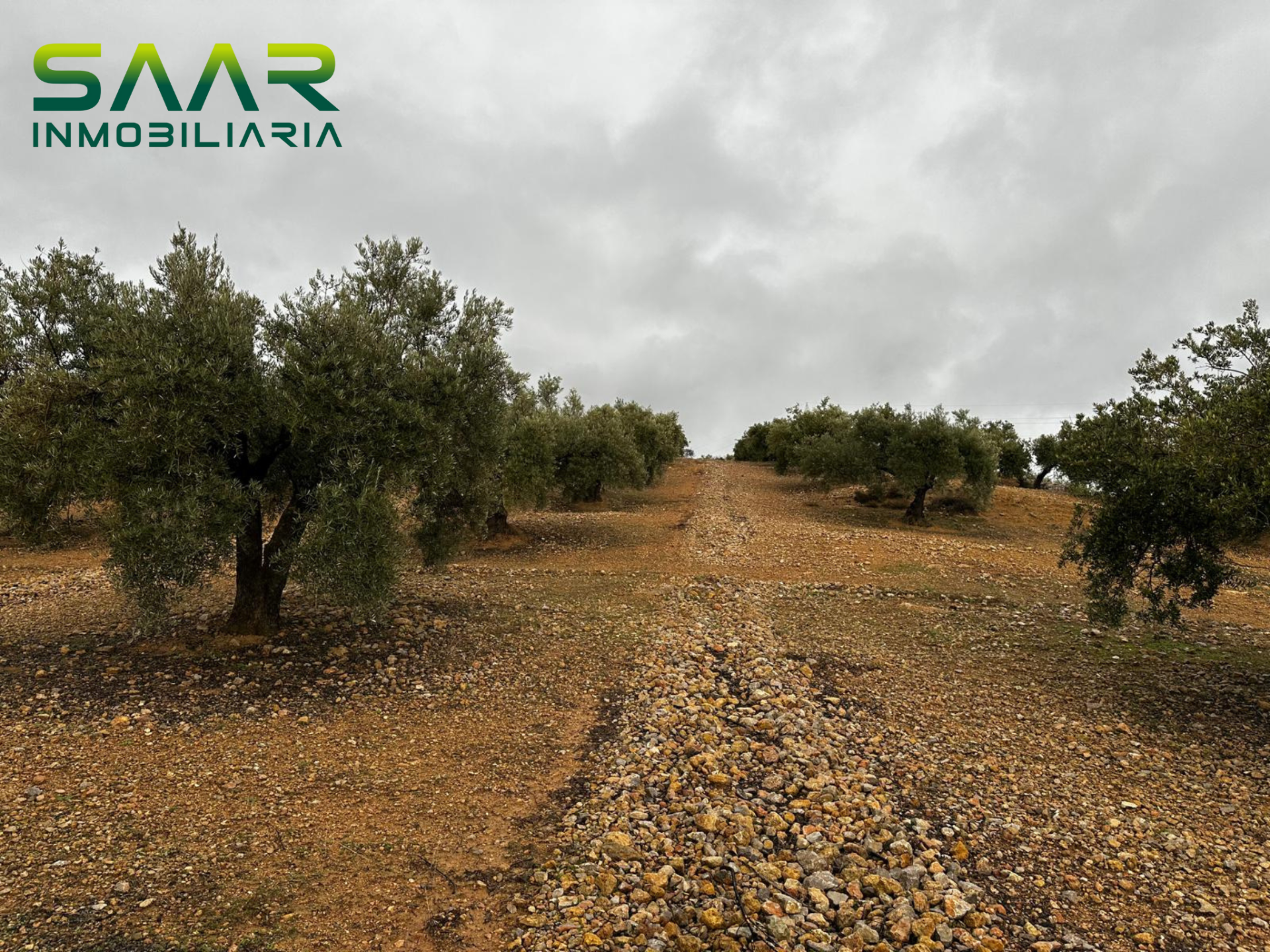 Finca rústica en Atarfe, venta