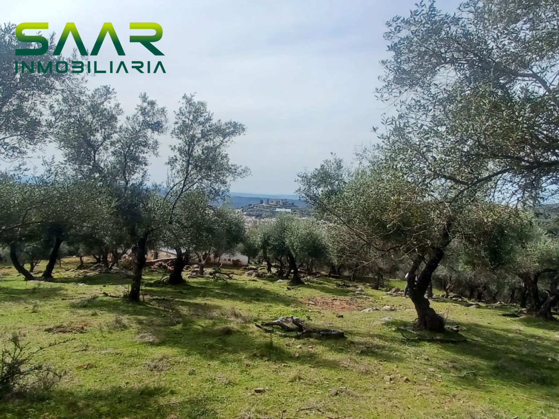 Finca rústica en Constantina, venta
