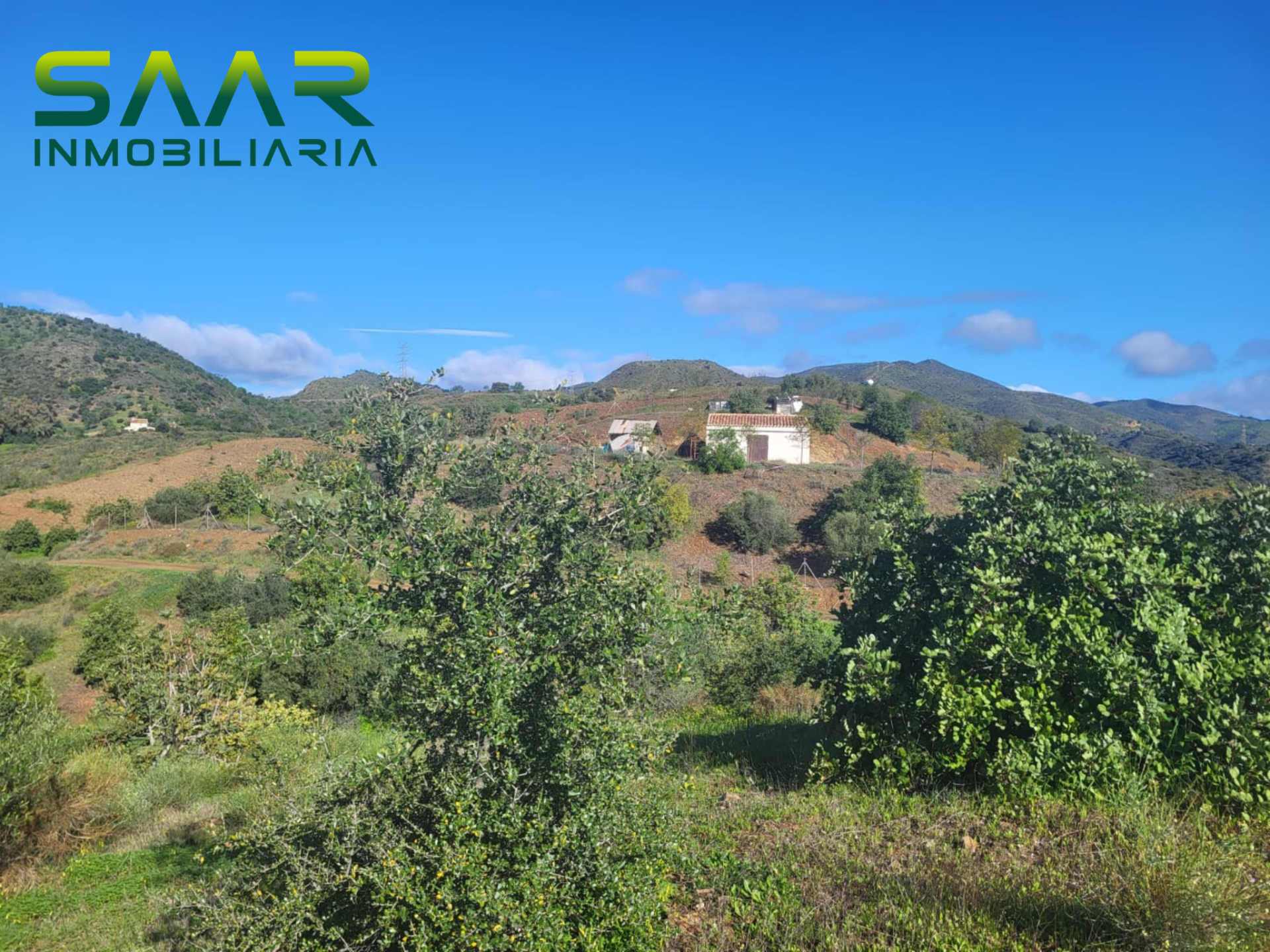 Finca rústica en Almogía, venta