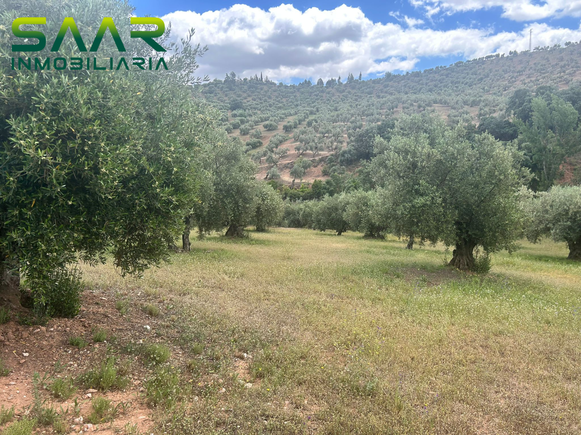 Finca rústica en Calicasas, venta