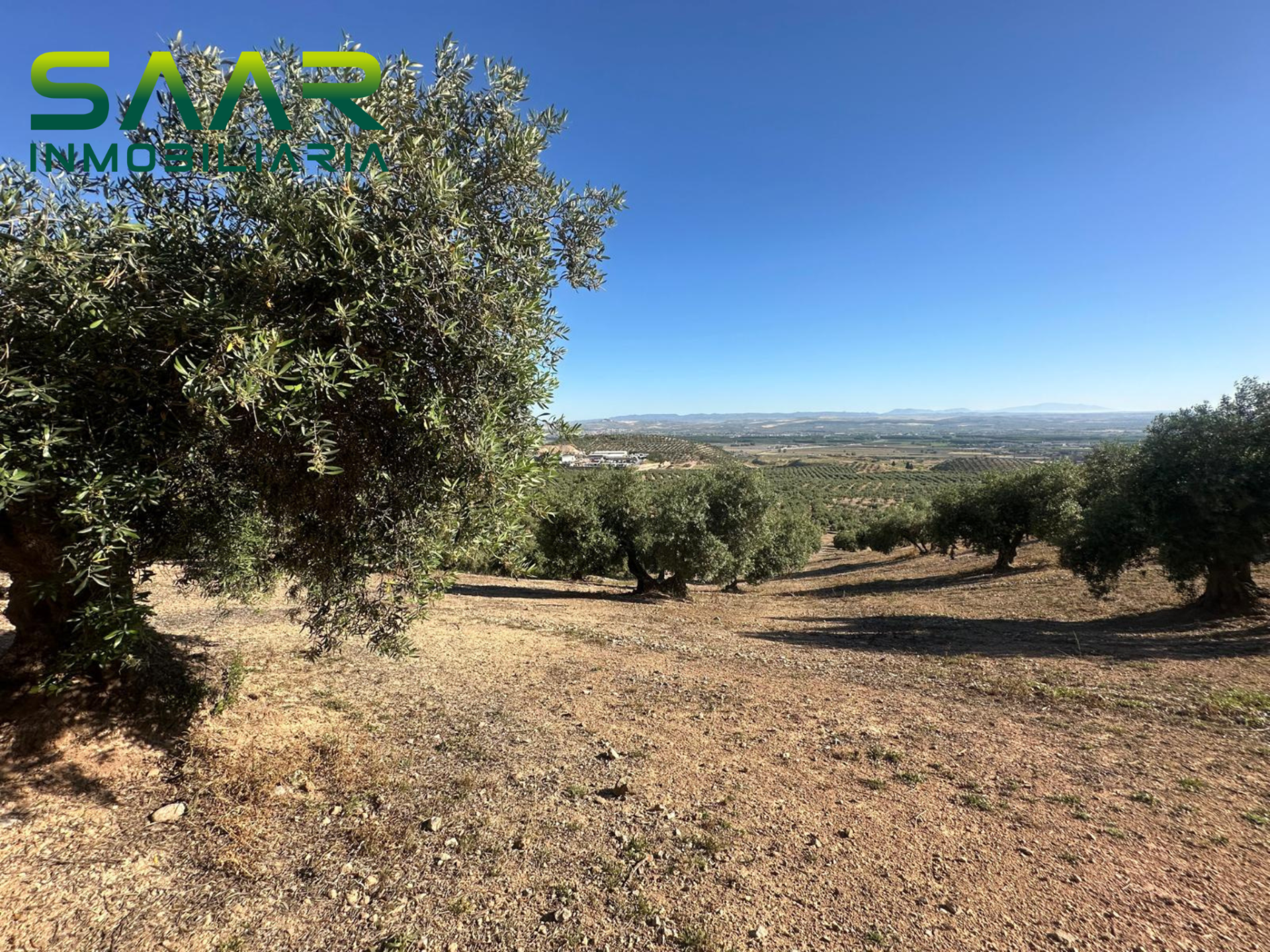 Finca rústica en Atarfe, Atarfe, venta