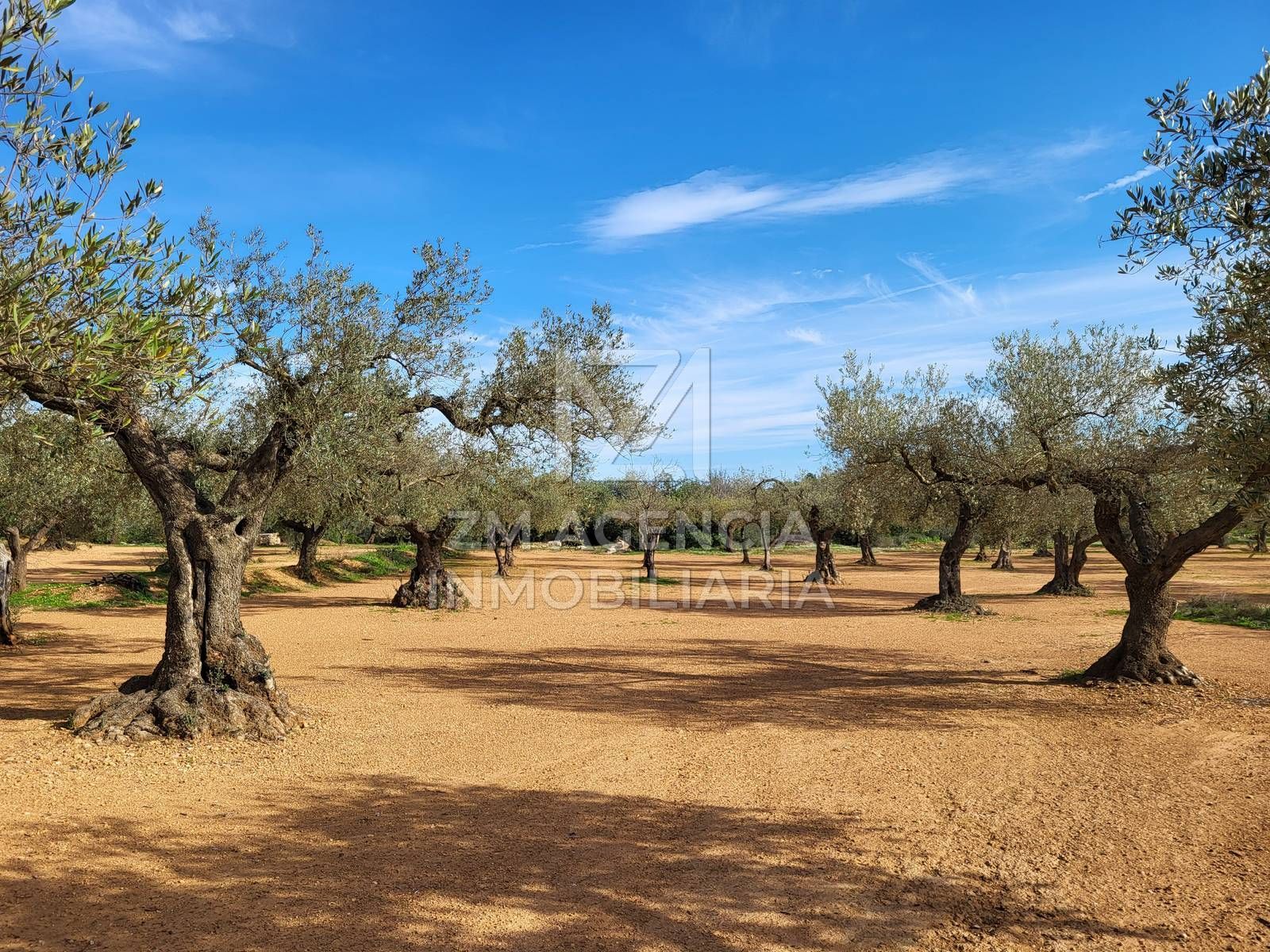 Finca rústica en Traiguera, venta