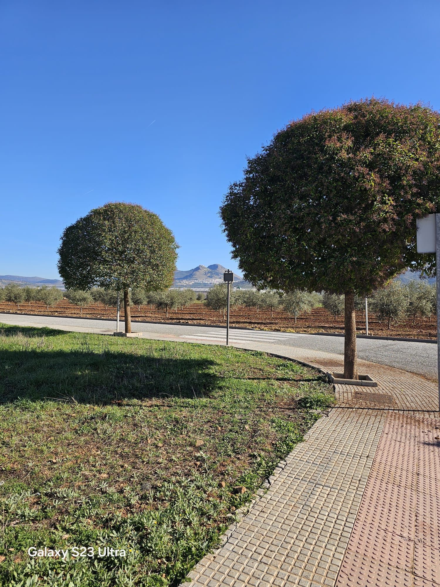 Parcela en venta en Archidona