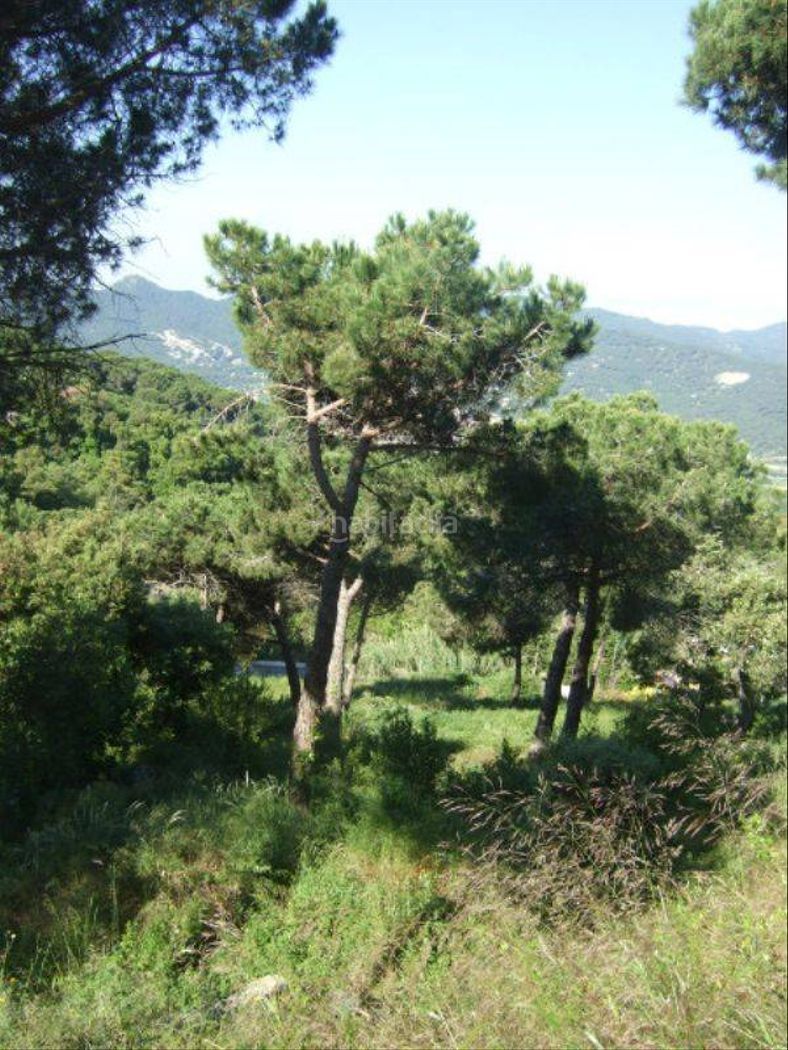 Parcela en Mataró, Urbanitzacions, venta
