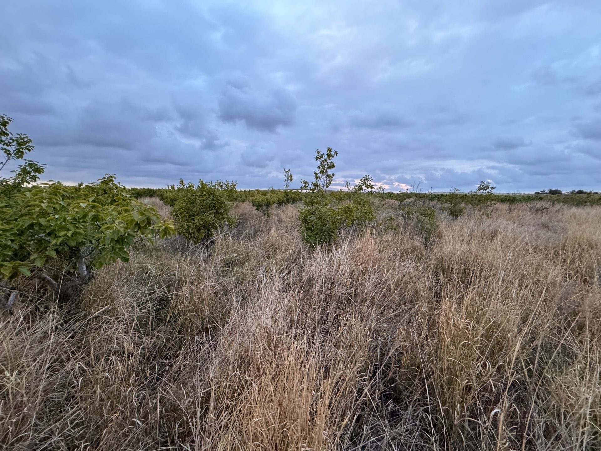 Plot in Alginet, for sale