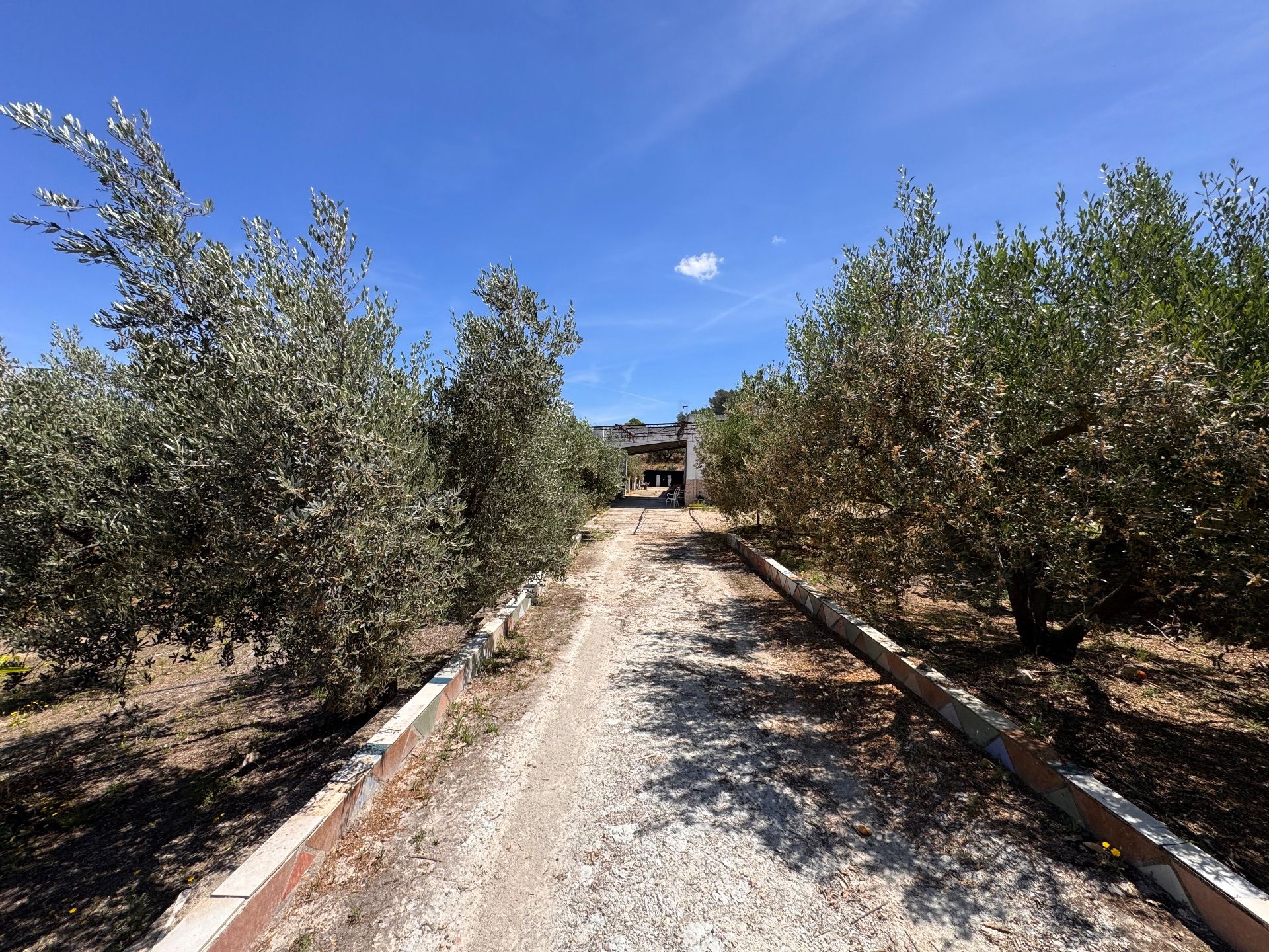 Casa de campo en Benigánim, venta
