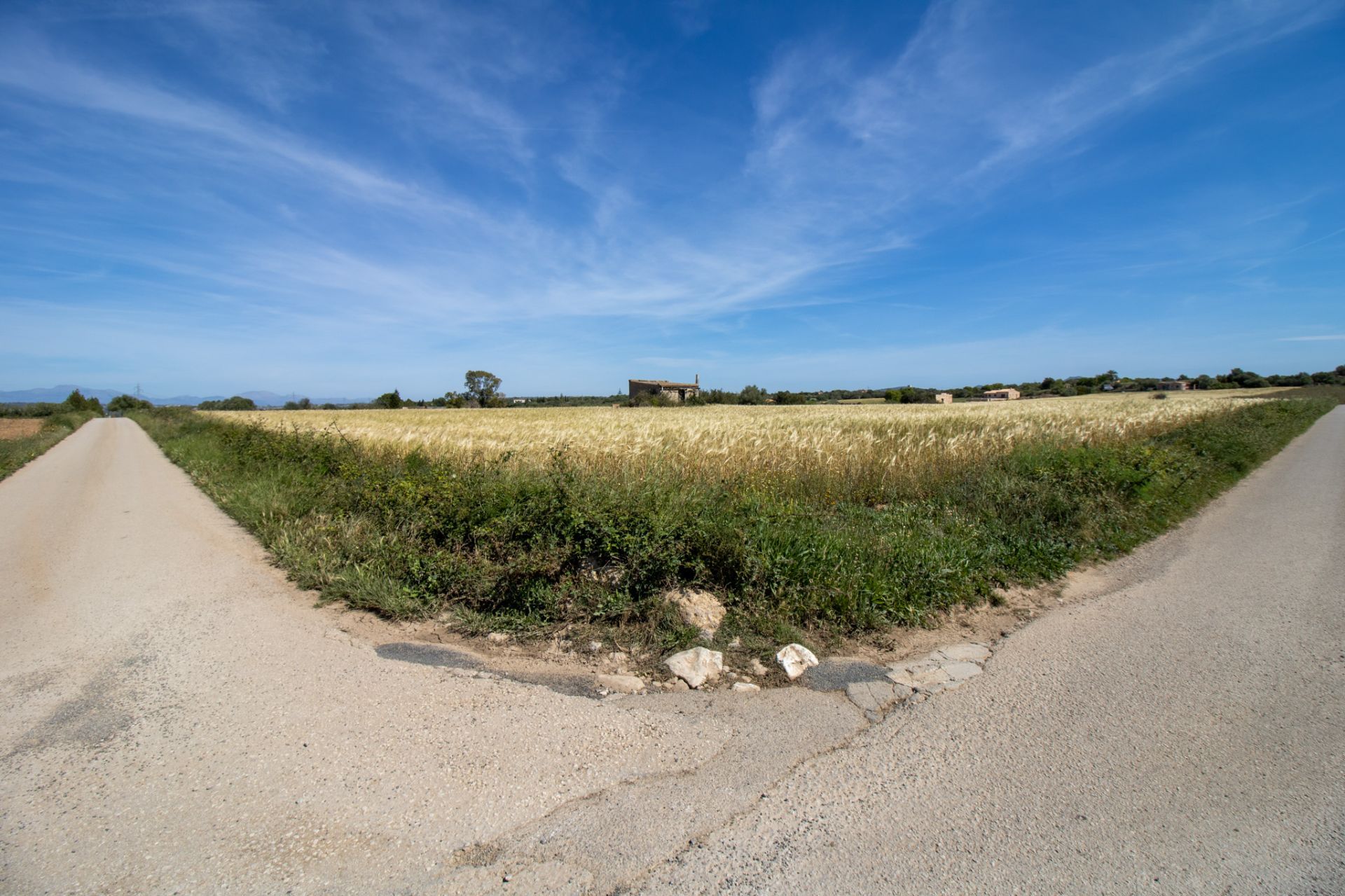 Parcela en Manacor, venta