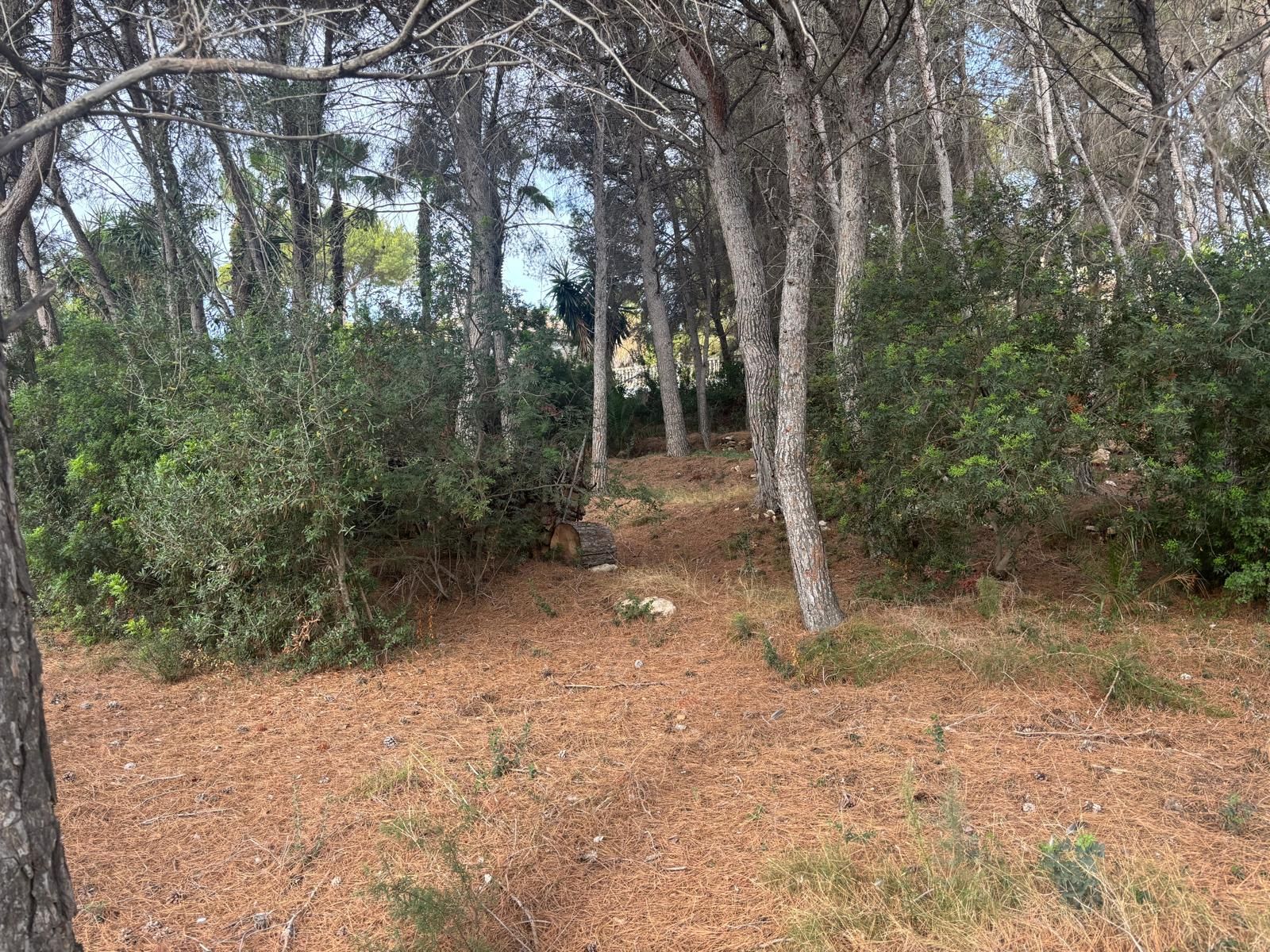 plots en moraira ·  330000€