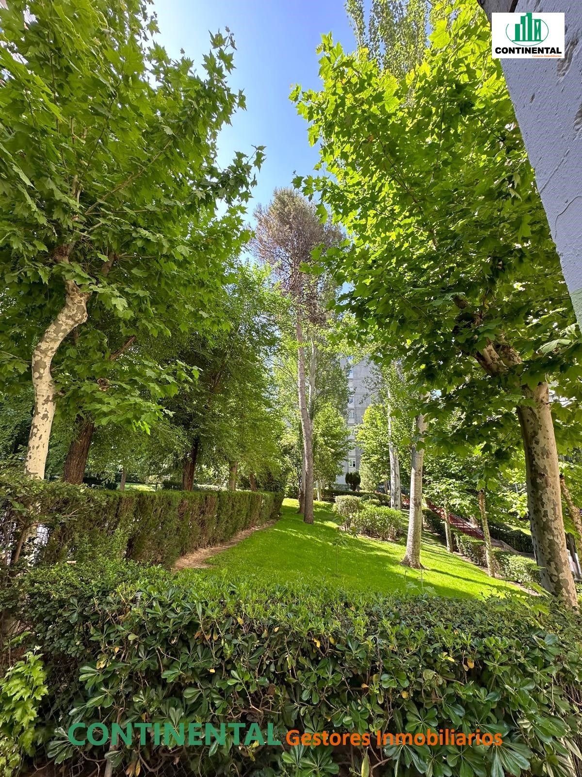 Local comercial en La Latina, venta