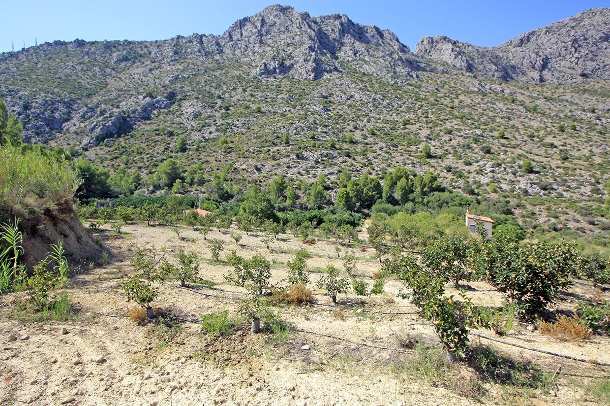 Parcela en Beniarbeig, venta