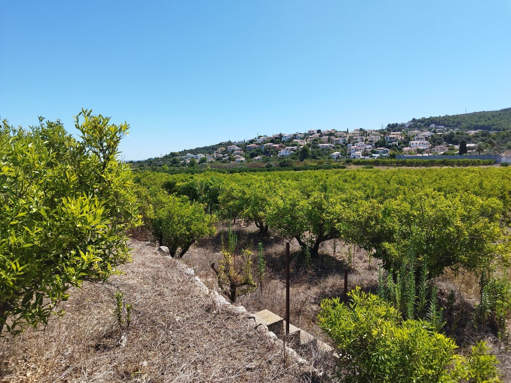 Terrain à Orba, vente