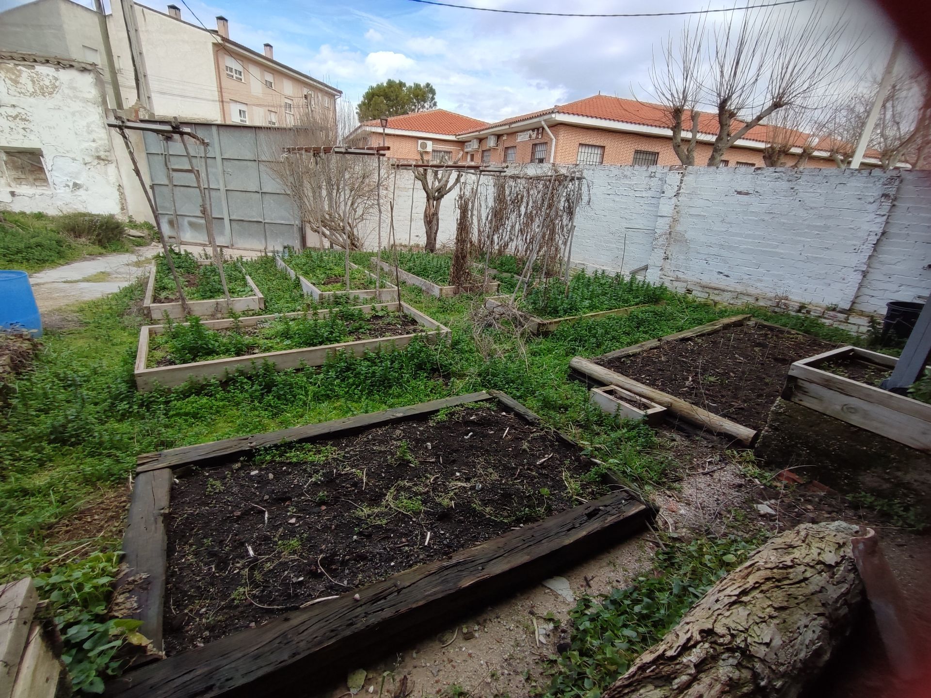 Solar Urbano en Cedillo del Condado, venta
