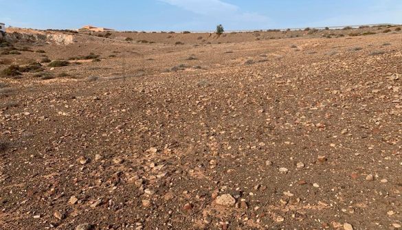 #SMXVPTFINRUTUI20022