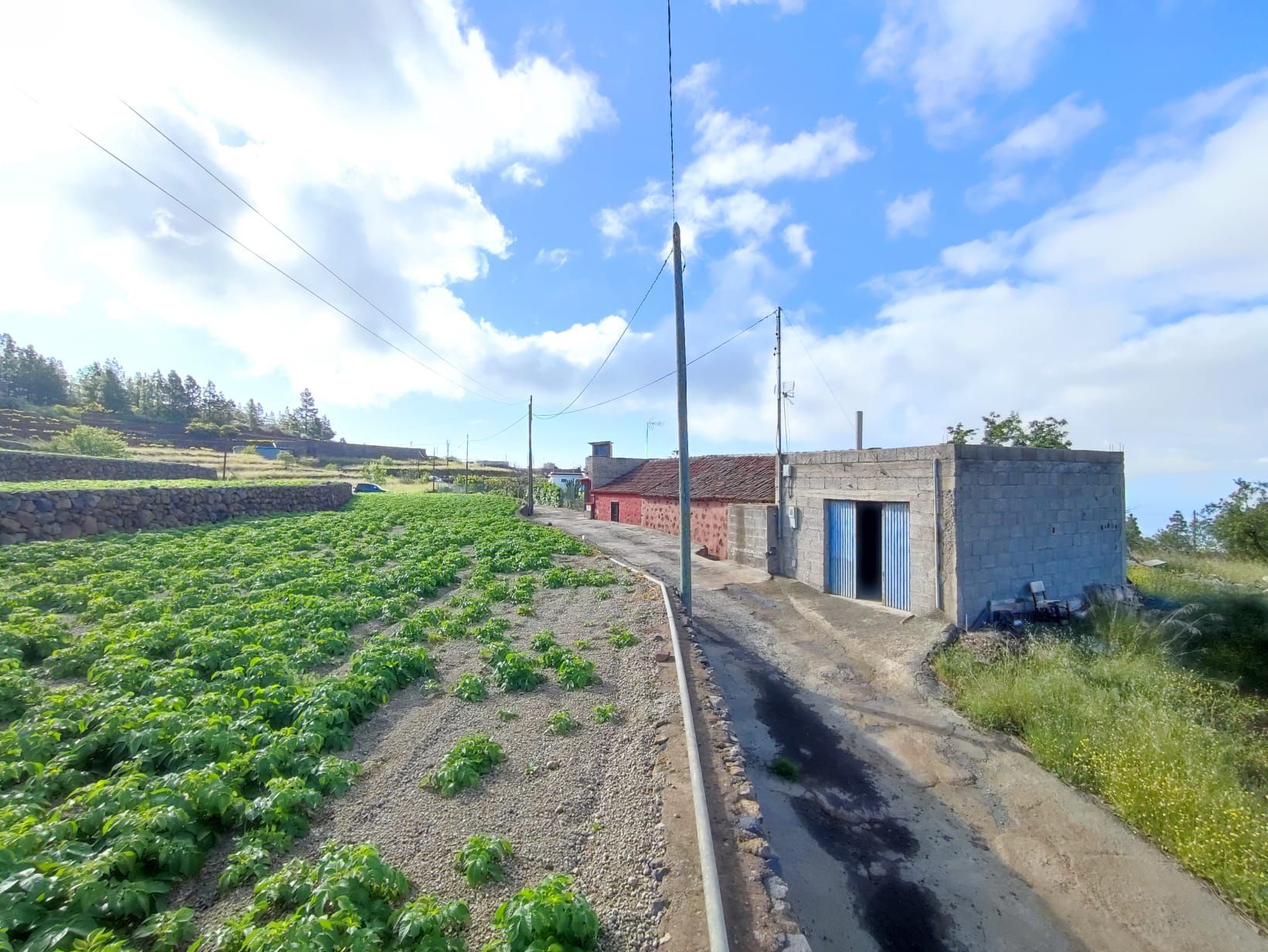 Villa à Vilaflor de Chasna, Vilaflor de Chasna, vente