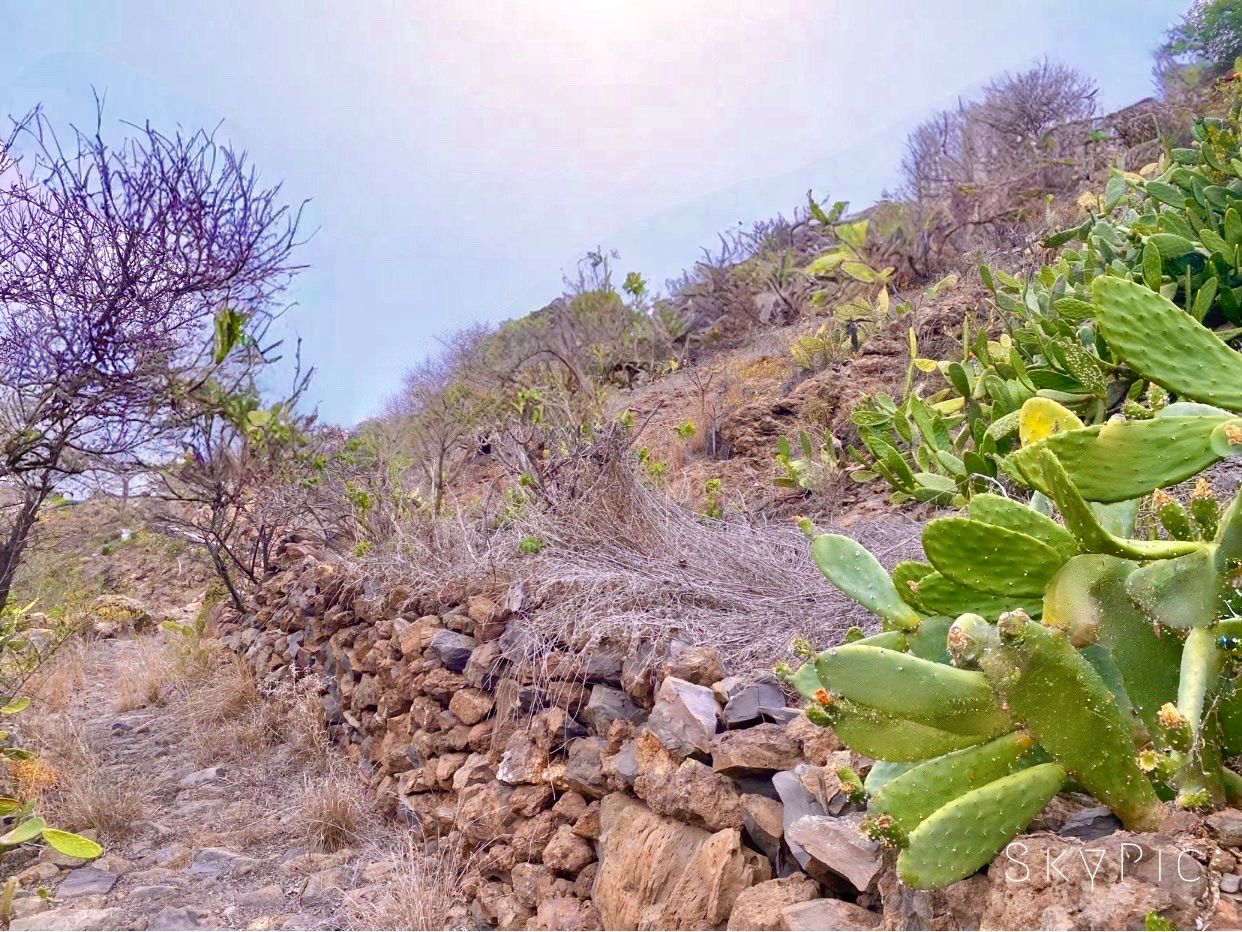 Finca rústica a Guía de Isora, en venda