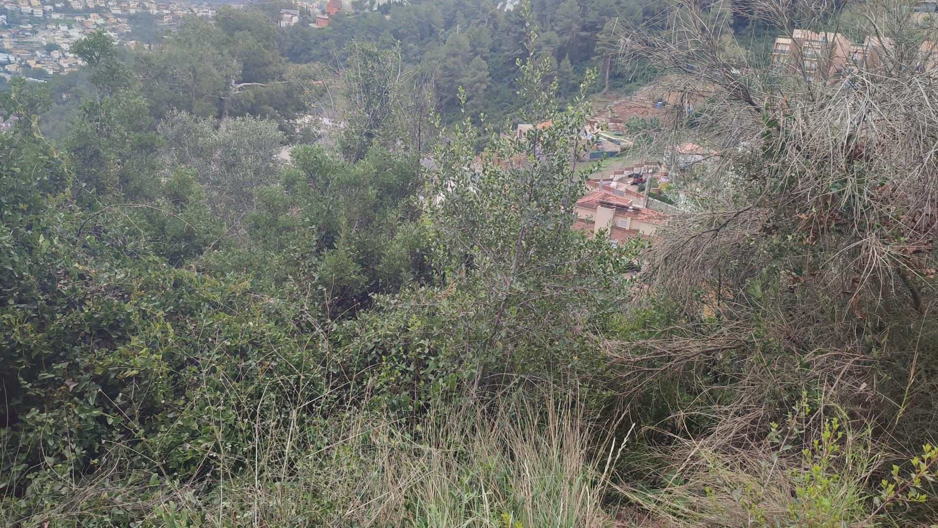 parcela en vallirana · el-mirador 50000€