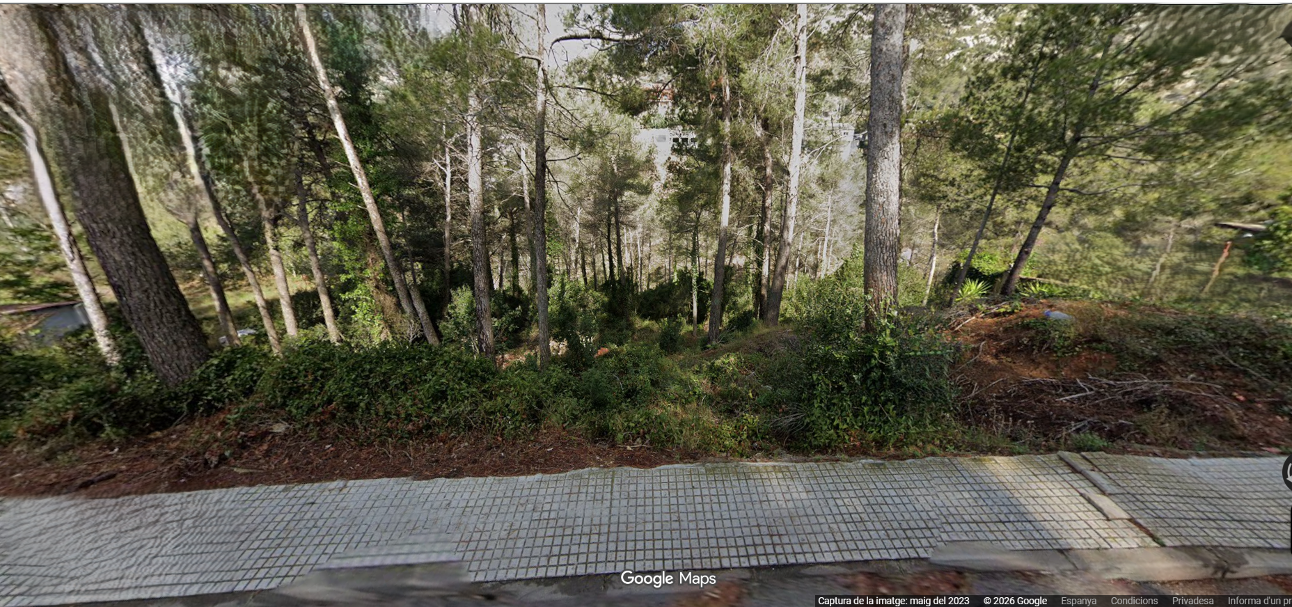 parcelas en olesa-de-bonesvalls ·  15000€