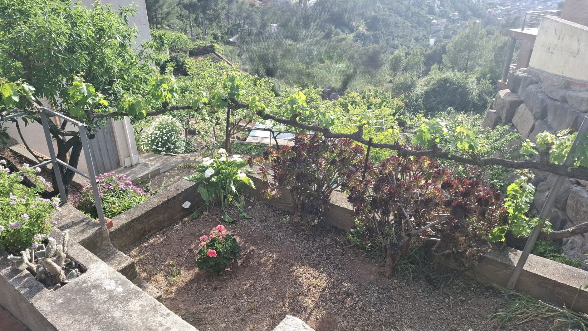 casas--chalets en vallirana ·  390000€