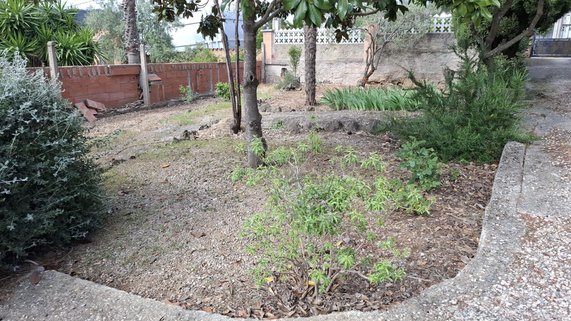 casas--chalets en olesa-de-bonesvalls ·  250000€