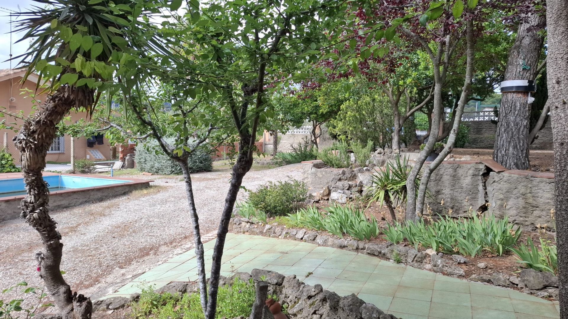 casas--chalets en olesa-de-bonesvalls ·  250000€