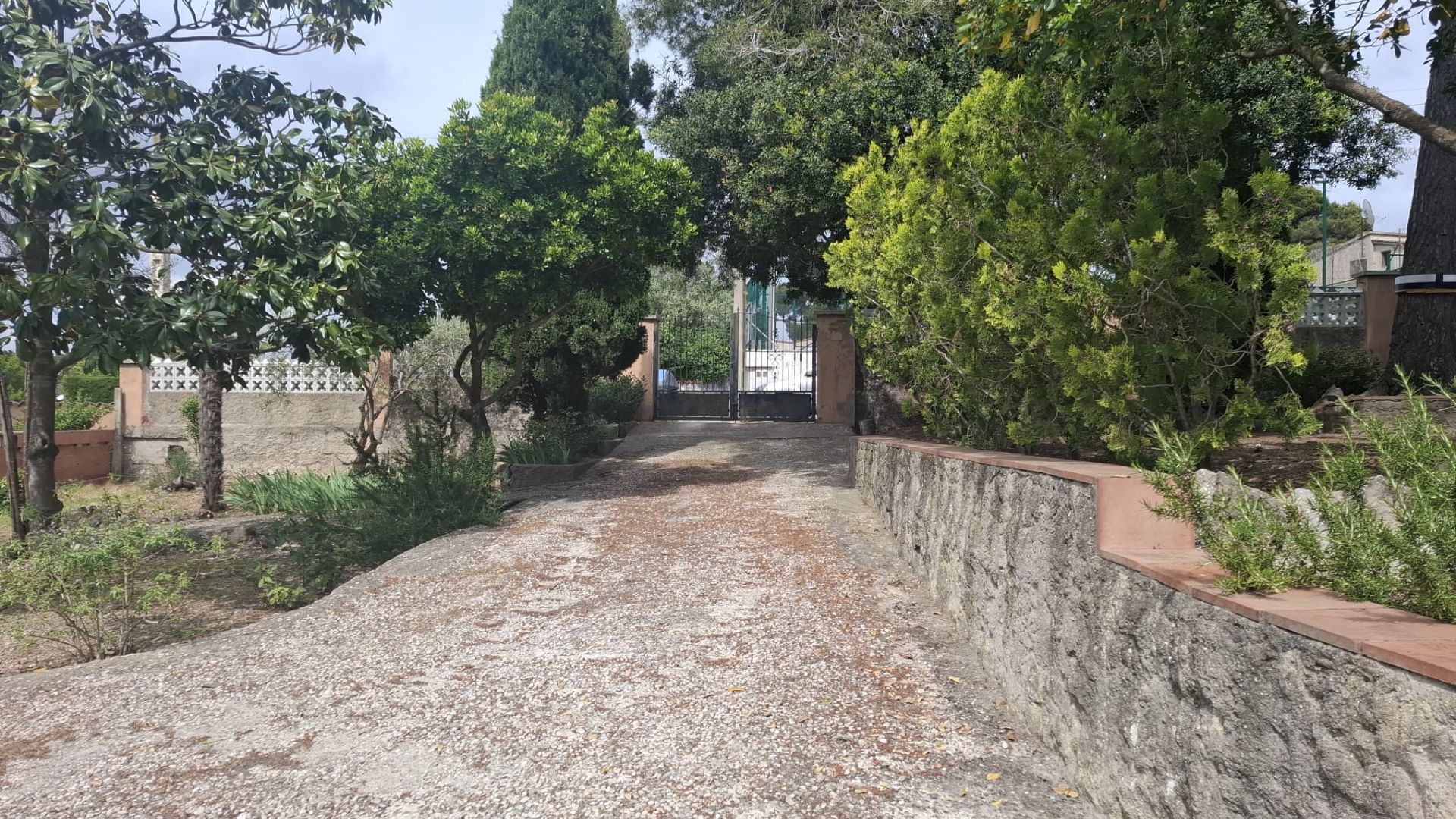 casas--chalets en olesa-de-bonesvalls ·  250000€