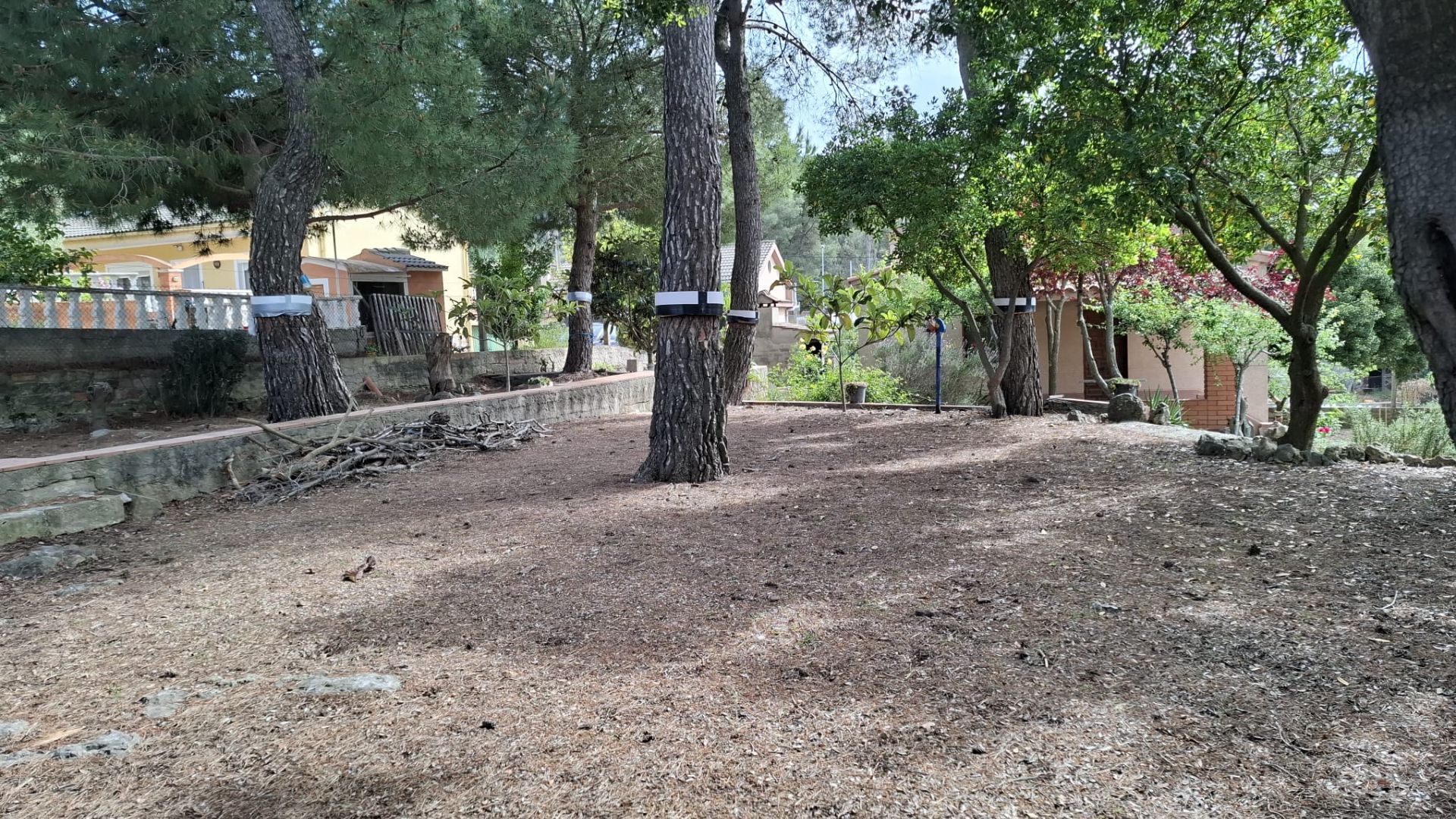 casas--chalets en olesa-de-bonesvalls ·  250000€