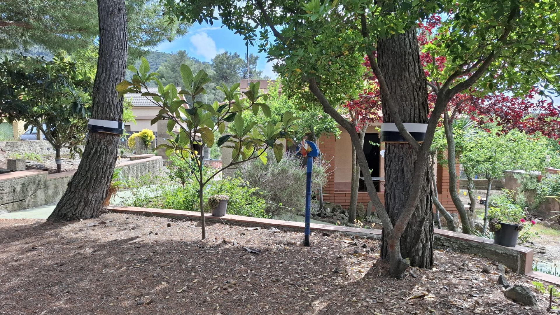 casas--chalets en olesa-de-bonesvalls ·  250000€