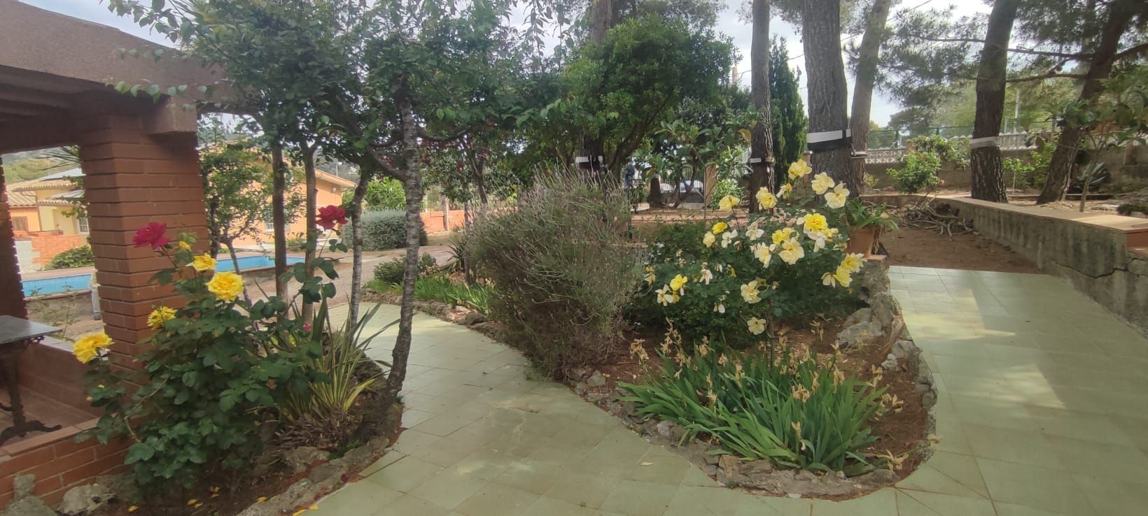 casas--chalets en olesa-de-bonesvalls ·  250000€