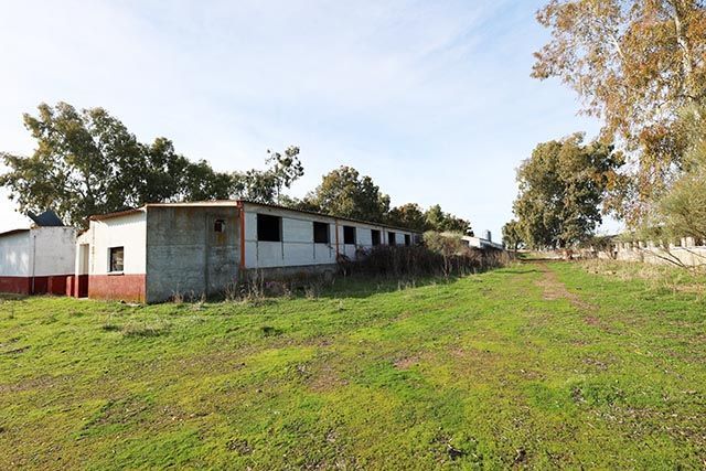 Finca rústica en Alcaudete de la Jara, venta