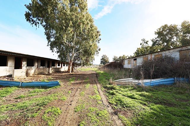 Finca rústica en Alcaudete de la Jara, venta