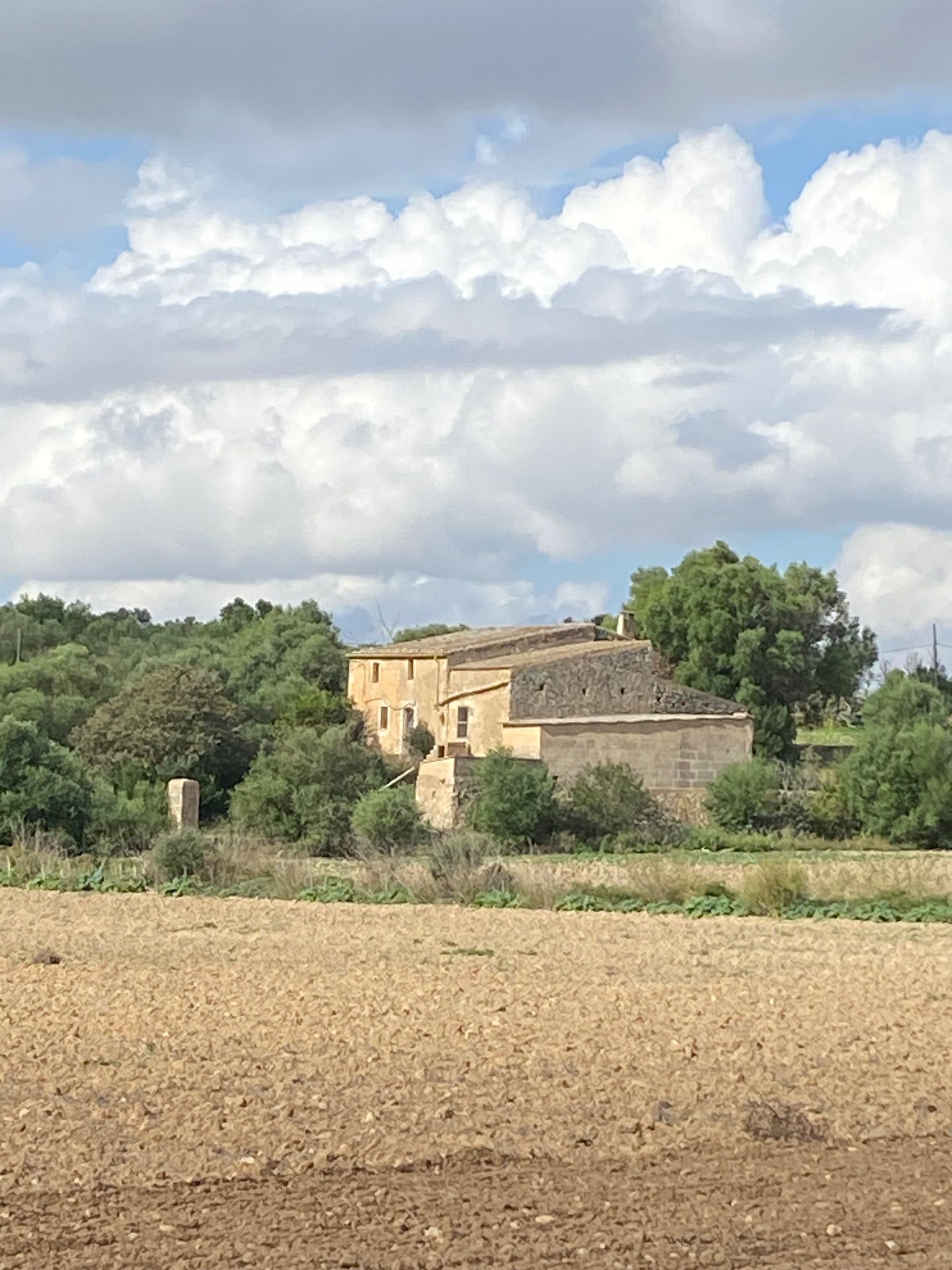 Terreno agricoli in Manacor, vendita