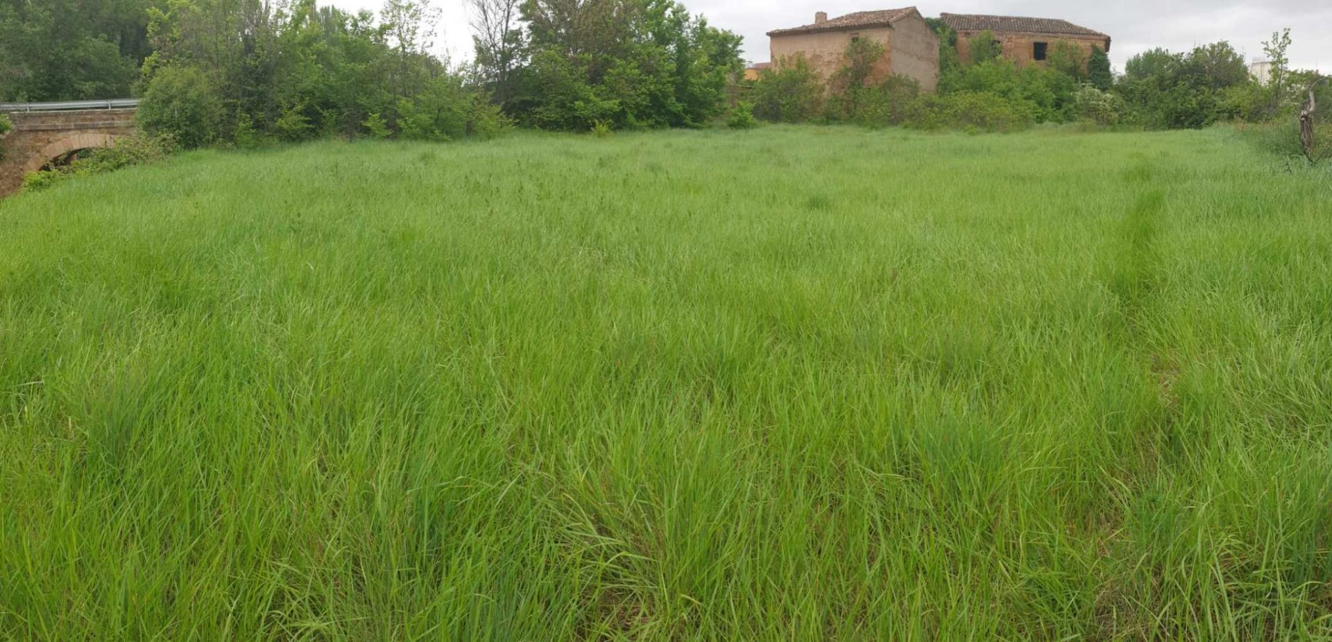 Finca rústica en Munébrega, Munébrega, venta