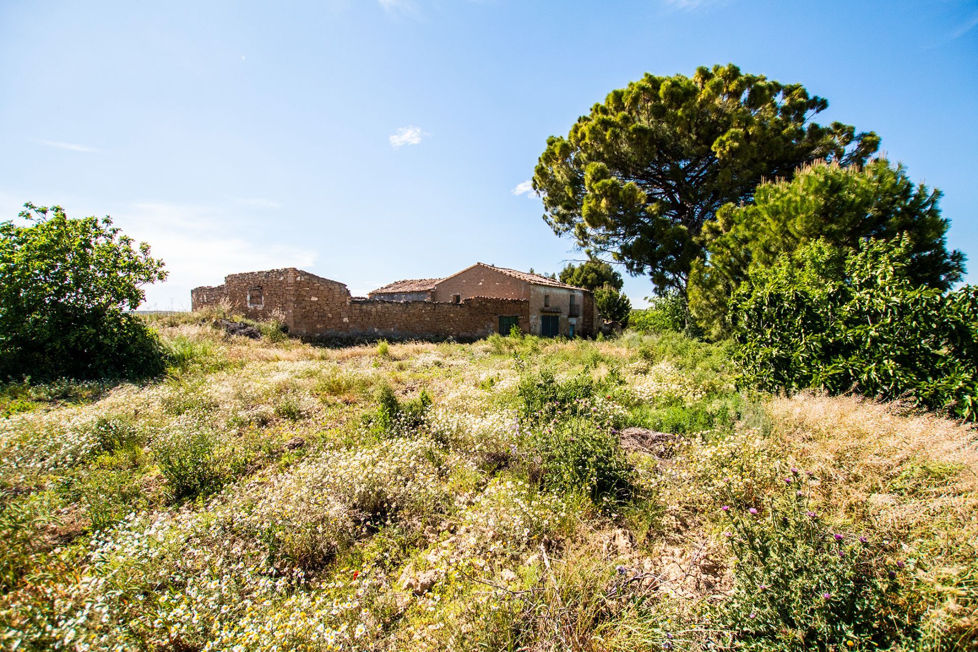 Finca rústica en Caspe, Caspe, venta
