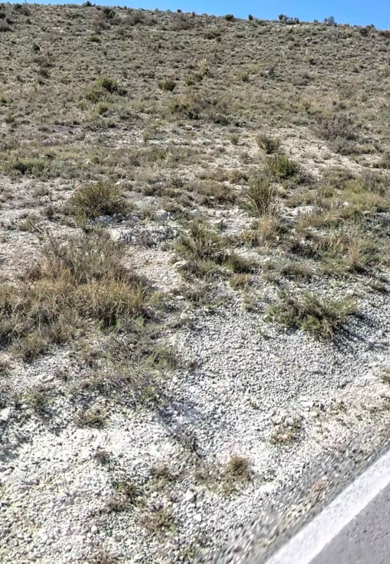 Parcela en Alicante, venta