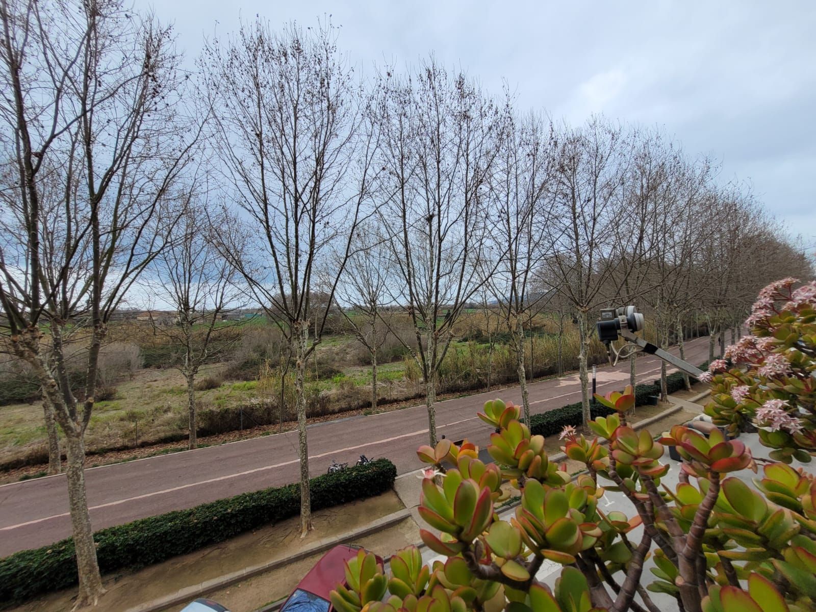 Wohnung in Blanes, La Plantera, verkauf