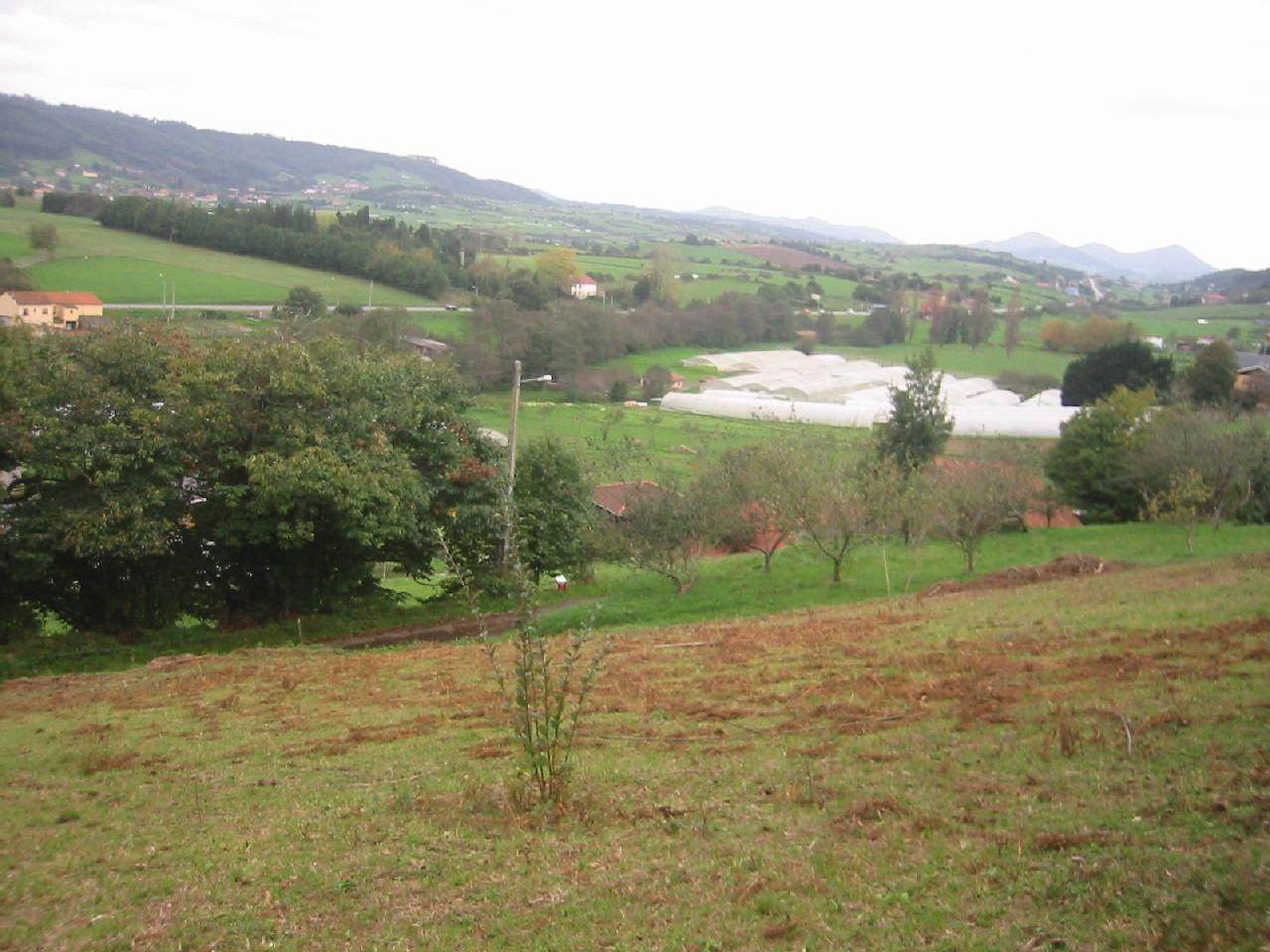 Parcela en Carreño, venta