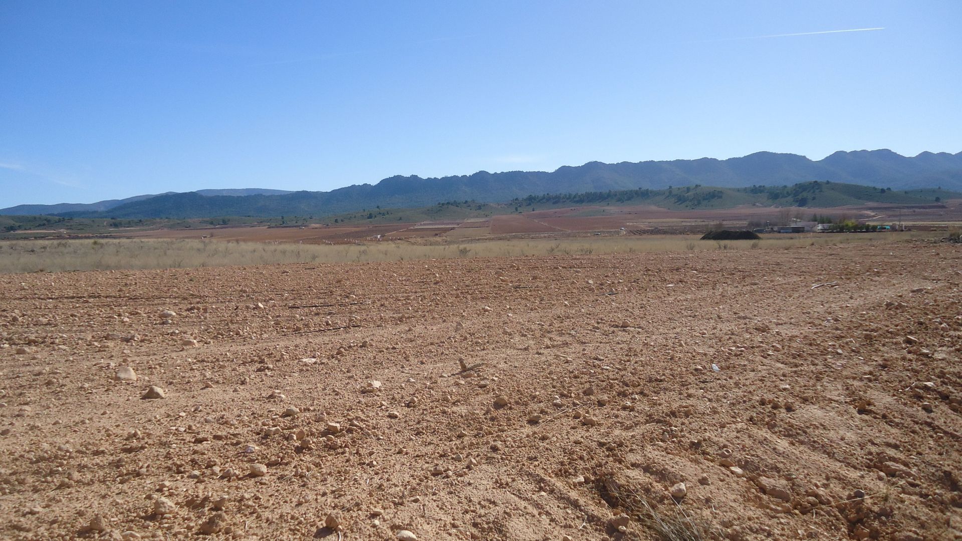 Finca rústica en Yecla, venta